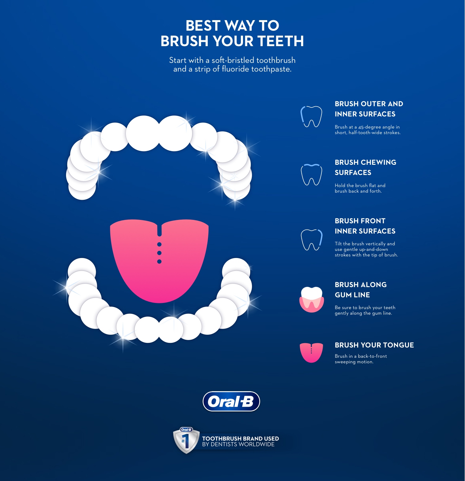 How to brush teeth properly? OralB